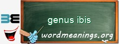 WordMeaning blackboard for genus ibis
